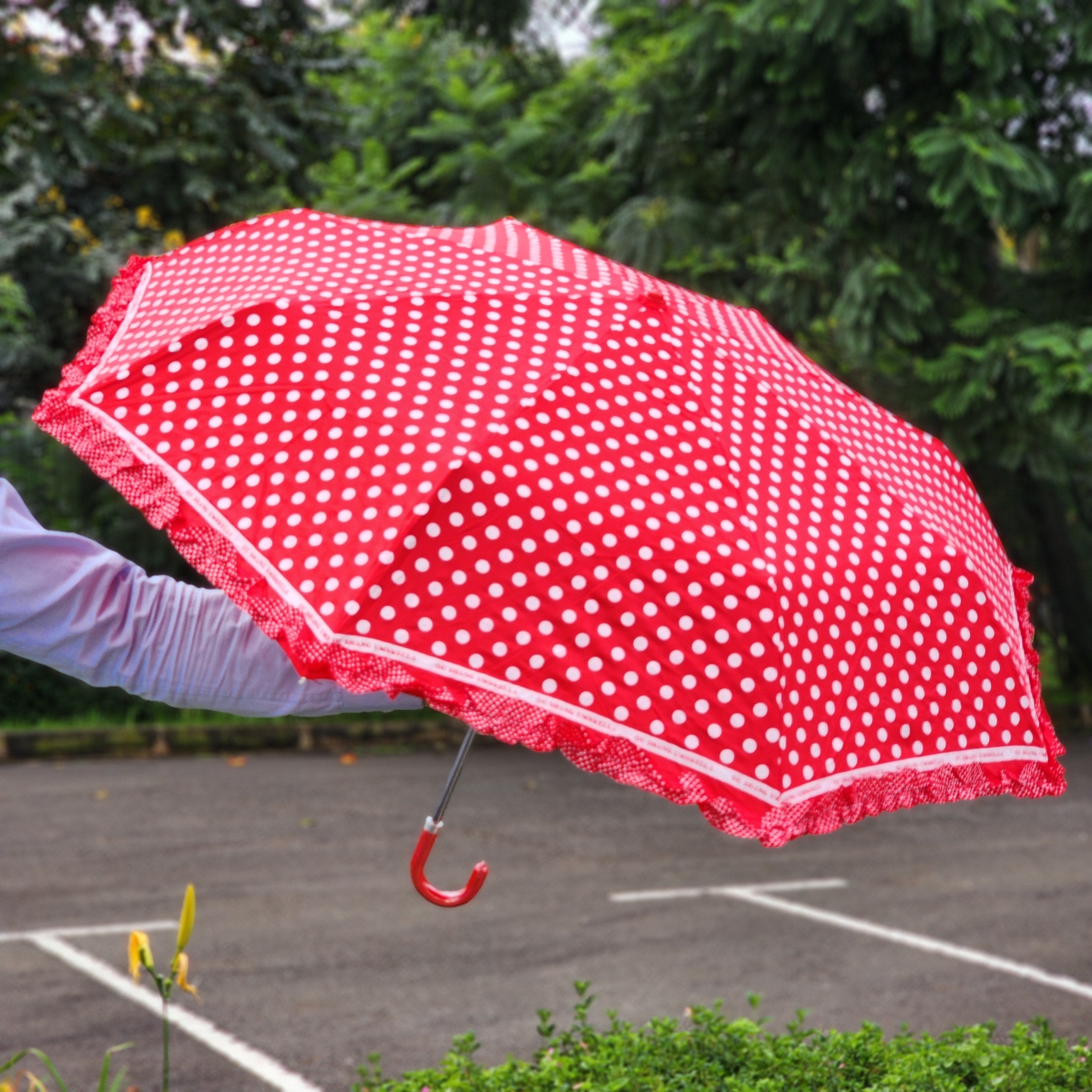 Ladies classic curved handle umbrella big polka dots