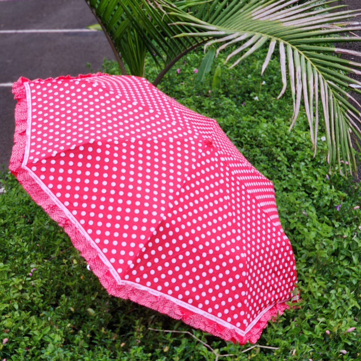 Ladies classic curved handle umbrella big polka dots